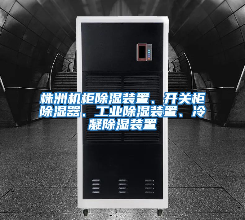 株洲機柜除濕裝置、開(kāi)關(guān)柜除濕器、工業(yè)除濕裝置、冷凝除濕裝置