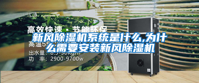 新風(fēng)除濕機系統是什么,為什么需要安裝新風(fēng)除濕機