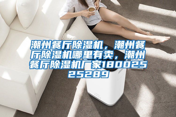 潮州餐廳除濕機，潮州餐廳除濕機哪里有賣(mài)，潮州餐廳除濕機廠(chǎng)家18002525289
