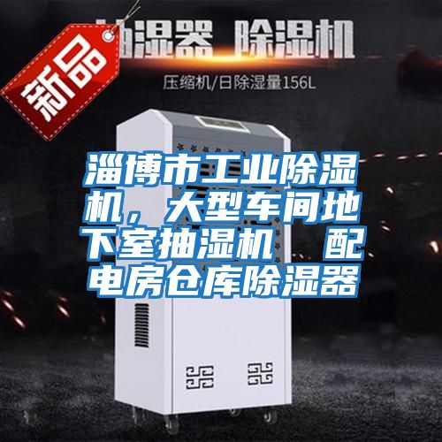 淄博市工業(yè)除濕機，大型車(chē)間地下室抽濕機  配電房倉庫除濕器