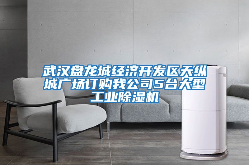 武漢盤(pán)龍城經(jīng)濟開(kāi)發(fā)區天縱城廣場(chǎng)訂購我公司5臺大型工業(yè)除濕機