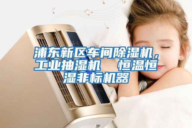 浦東新區車(chē)間除濕機，工業(yè)抽濕機  恒溫恒濕非標機器
