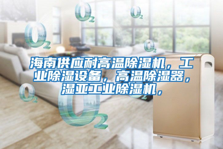 海南供應耐高溫除濕機，工業(yè)除濕設備，高溫除濕器，濕亞工業(yè)除濕機，