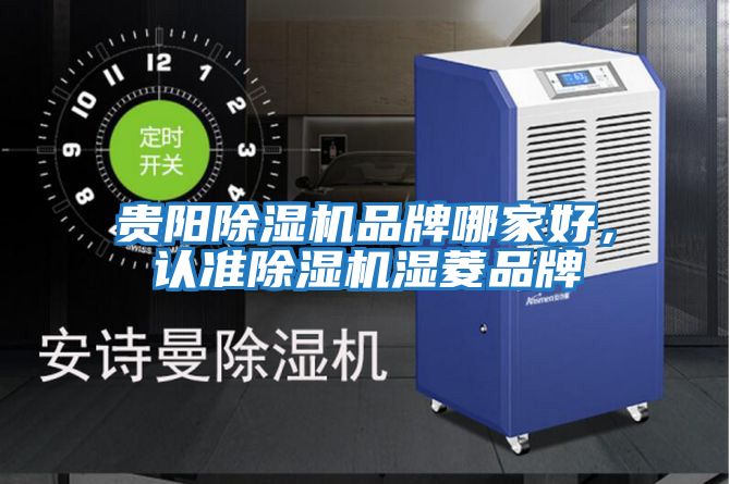 貴陽(yáng)除濕機品牌哪家好，認準除濕機濕菱品牌