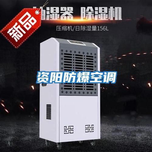 資陽(yáng)防爆空調