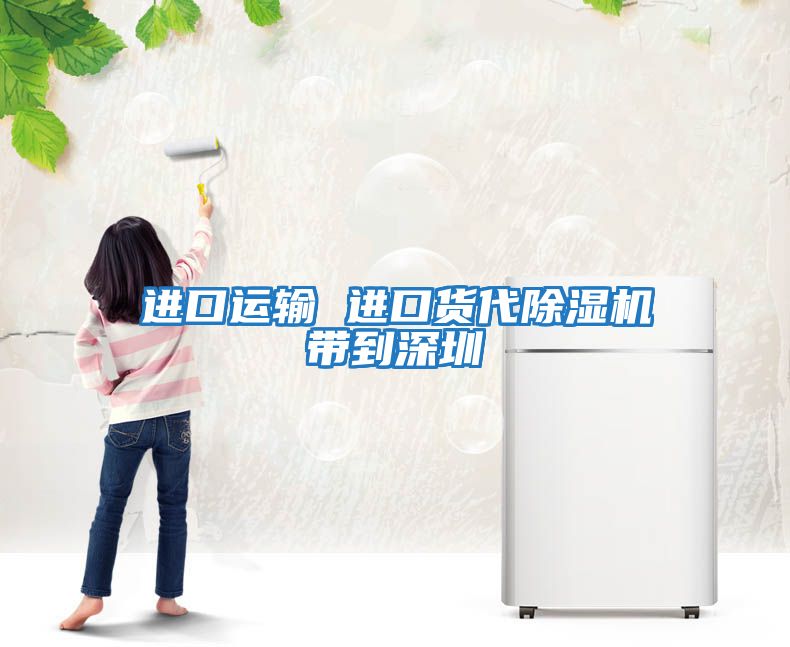 進(jìn)口運輸 進(jìn)口貨代除濕機帶到深圳