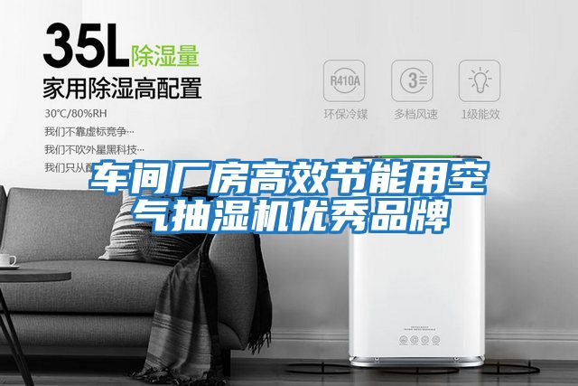 車(chē)間廠(chǎng)房高效節能用空氣抽濕機優(yōu)秀品牌
