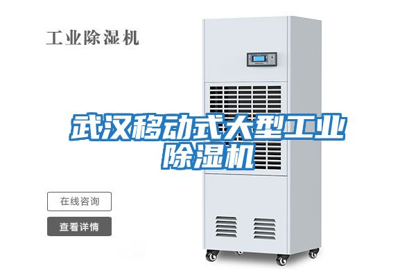 武漢移動(dòng)式大型工業(yè)除濕機