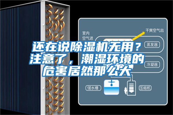 還在說(shuō)除濕機無(wú)用？注意了，潮濕環(huán)境的危害居然那么大