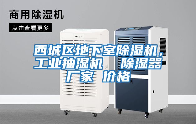 西城區地下室除濕機，工業(yè)抽濕機  除濕器廠(chǎng)家 價(jià)格