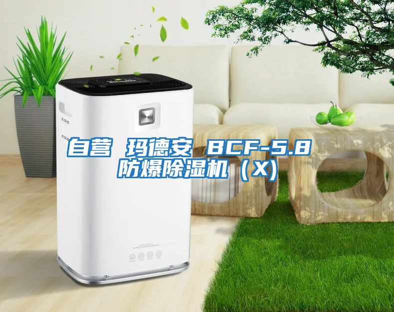 自營(yíng) 瑪德安 BCF-5.8 防爆除濕機(X)