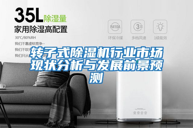 轉子式除濕機行業(yè)市場(chǎng)現狀分析與發(fā)展前景預測