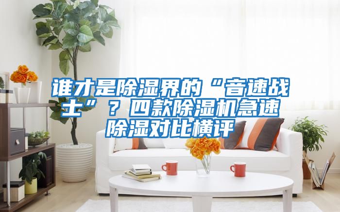 誰(shuí)才是除濕界的“音速戰士”？四款除濕機急速除濕對比橫評
