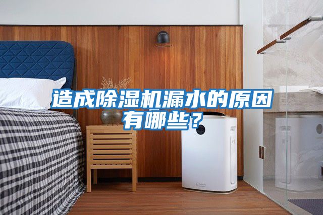造成除濕機漏水的原因有哪些？