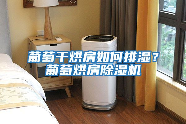 葡萄干烘房如何排濕？葡萄烘房除濕機