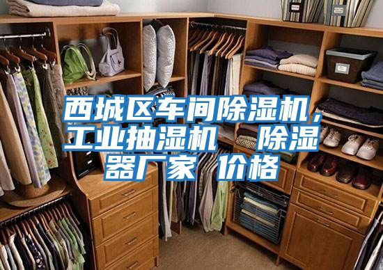 西城區車(chē)間除濕機，工業(yè)抽濕機  除濕器廠(chǎng)家 價(jià)格