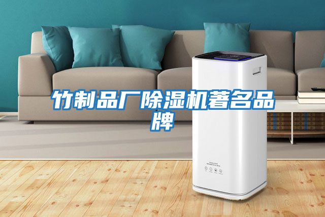 竹制品廠(chǎng)除濕機著(zhù)名品牌