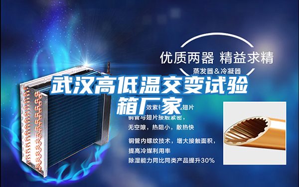武漢高低溫交變試驗箱廠(chǎng)家