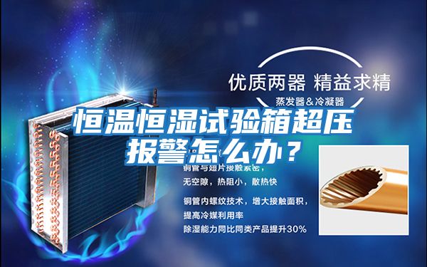 恒溫恒濕試驗箱超壓報警怎么辦？