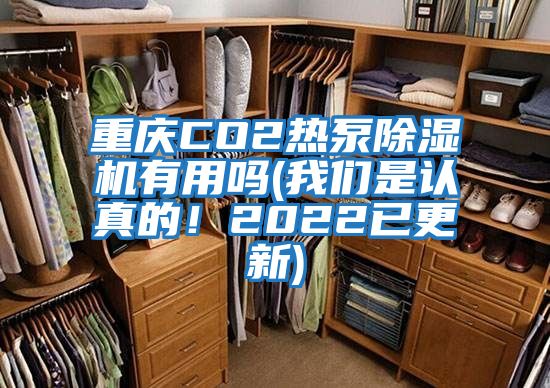 重慶CO2熱泵除濕機有用嗎(我們是認真的！2022已更新)