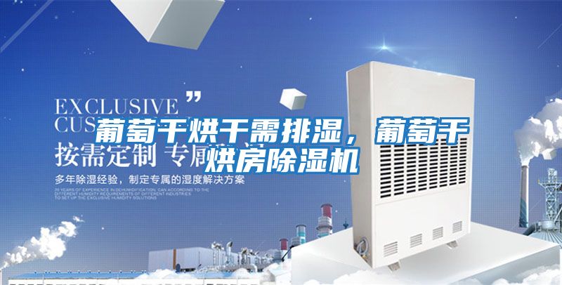 葡萄干烘干需排濕，葡萄干烘房除濕機