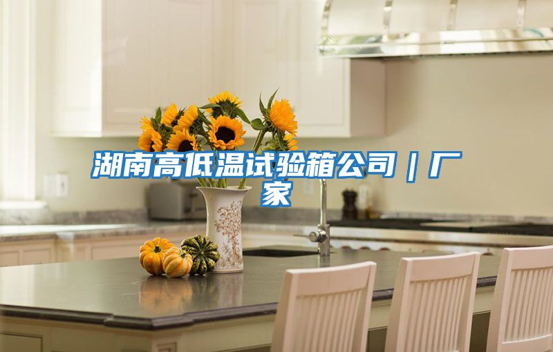 湖南高低溫試驗箱公司｜廠(chǎng)家