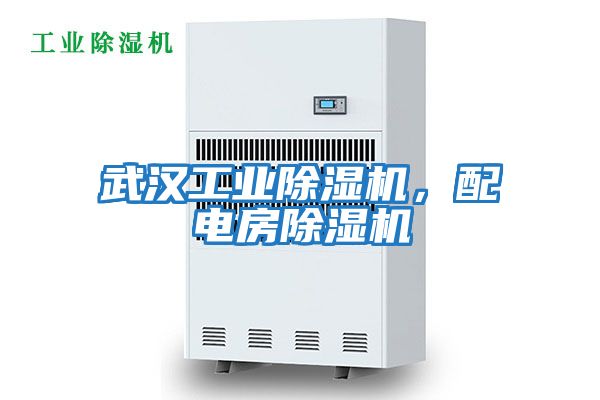 武漢工業(yè)除濕機，配電房除濕機