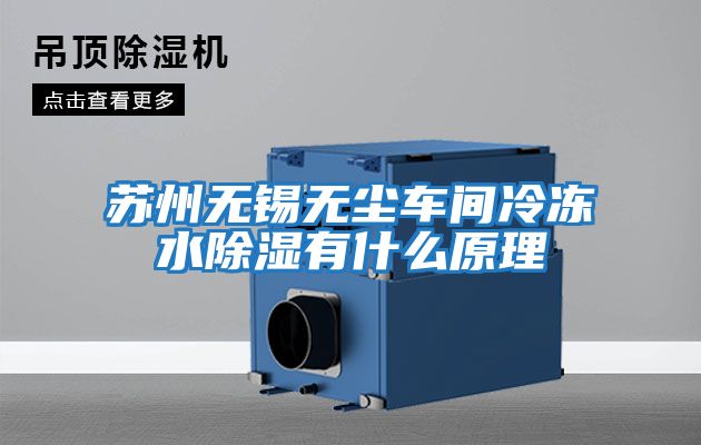 蘇州無(wú)錫無(wú)塵車(chē)間冷凍水除濕有什么原理