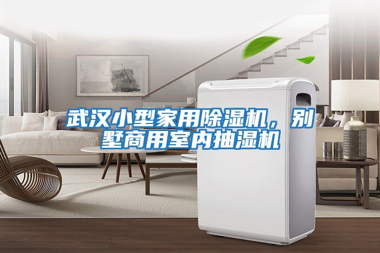 武漢小型家用除濕機，別墅商用室內抽濕機
