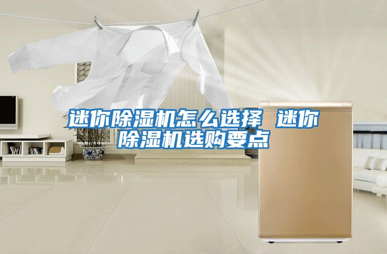 迷你除濕機怎么選擇 迷你除濕機選購要點(diǎn)