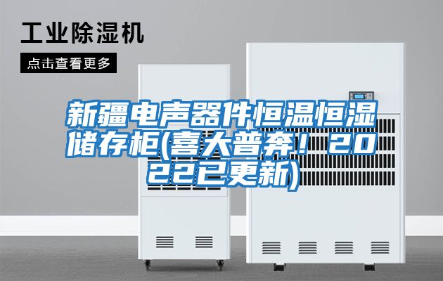 新疆電聲器件恒溫恒濕儲存柜(喜大普奔！2022已更新)
