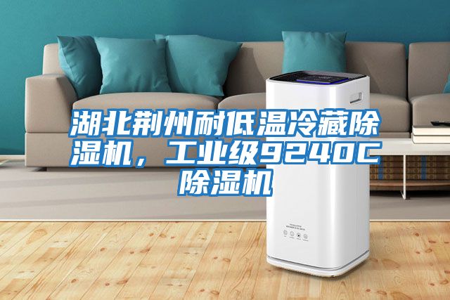 湖北荊州耐低溫冷藏除濕機，工業(yè)級9240C除濕機