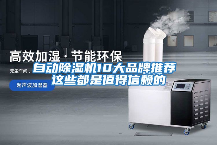 自動(dòng)除濕機10大品牌推薦 這些都是值得信賴(lài)的