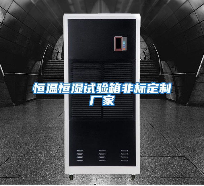 恒溫恒濕試驗箱非標定制廠(chǎng)家