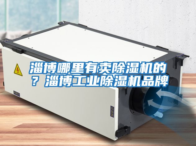 淄博哪里有賣(mài)除濕機的？淄博工業(yè)除濕機品牌
