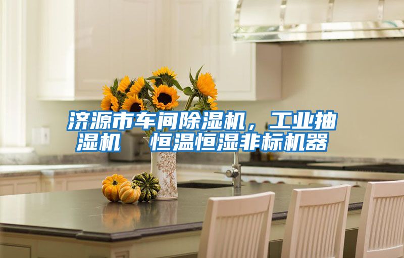 濟源市車(chē)間除濕機，工業(yè)抽濕機  恒溫恒濕非標機器