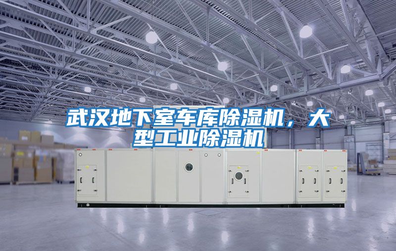 武漢地下室車(chē)庫除濕機，大型工業(yè)除濕機