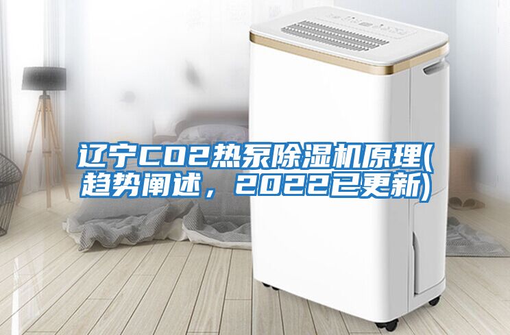 遼寧CO2熱泵除濕機原理(趨勢闡述，2022已更新)