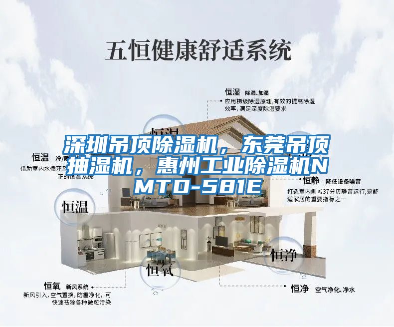 深圳吊頂除濕機，東莞吊頂抽濕機，惠州工業(yè)除濕機NMTD-581E