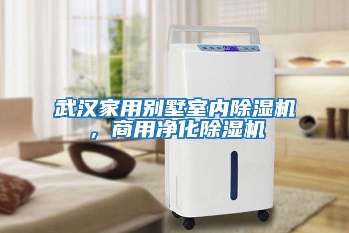 武漢家用別墅室內除濕機，商用凈化除濕機