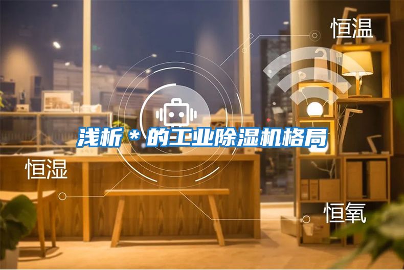 淺析＊的工業(yè)除濕機格局