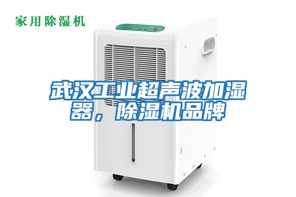 武漢工業(yè)超聲波加濕器，除濕機品牌