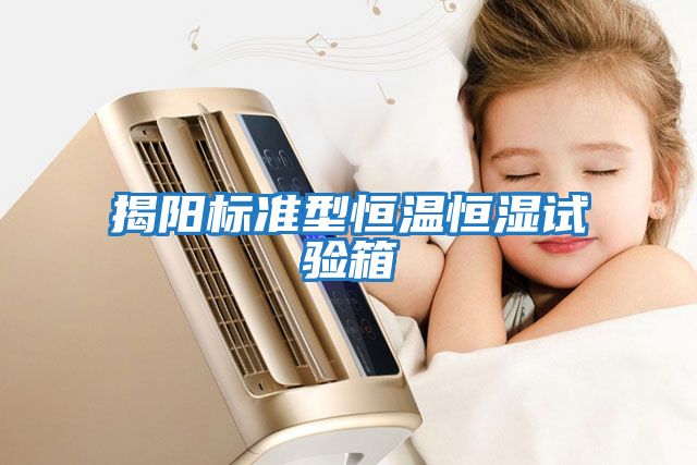 揭陽(yáng)標準型恒溫恒濕試驗箱