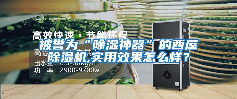 被譽(yù)為“除濕神器”的西屋除濕機,實(shí)用效果怎么樣？