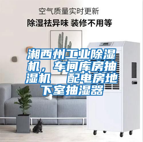 湘西州工業(yè)除濕機，車(chē)間庫房抽濕機  配電房地下室抽濕器