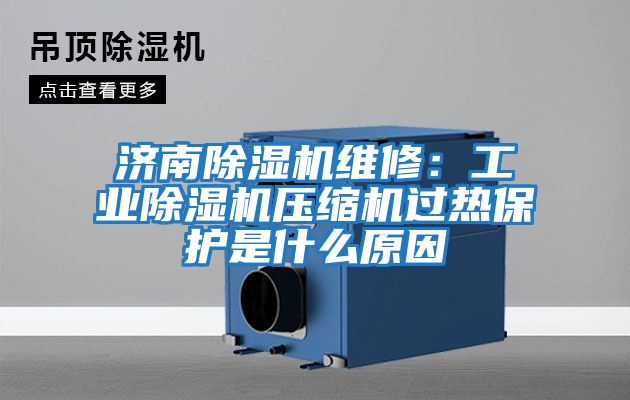 濟南除濕機維修：工業(yè)除濕機壓縮機過(guò)熱保護是什么原因