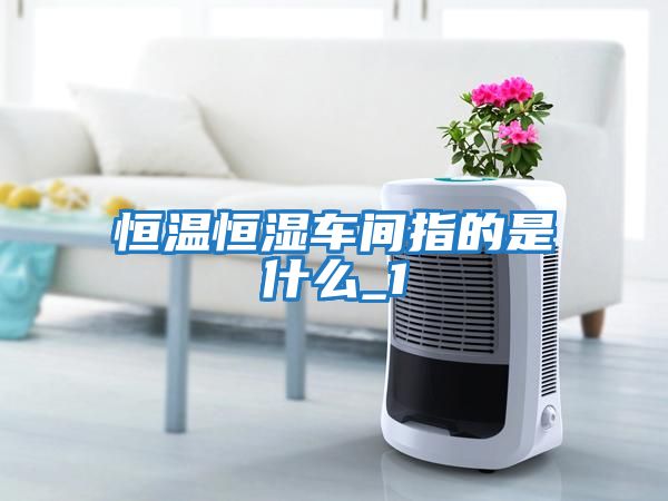 恒溫恒濕車(chē)間指的是什么_1