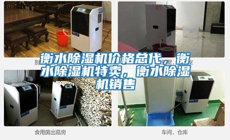 衡水除濕機價(jià)格總代，衡水除濕機特賣(mài)，衡水除濕機銷(xiāo)售