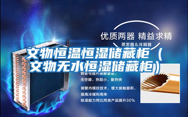 文物恒溫恒濕儲藏柜（文物無(wú)水恒濕儲藏柜）