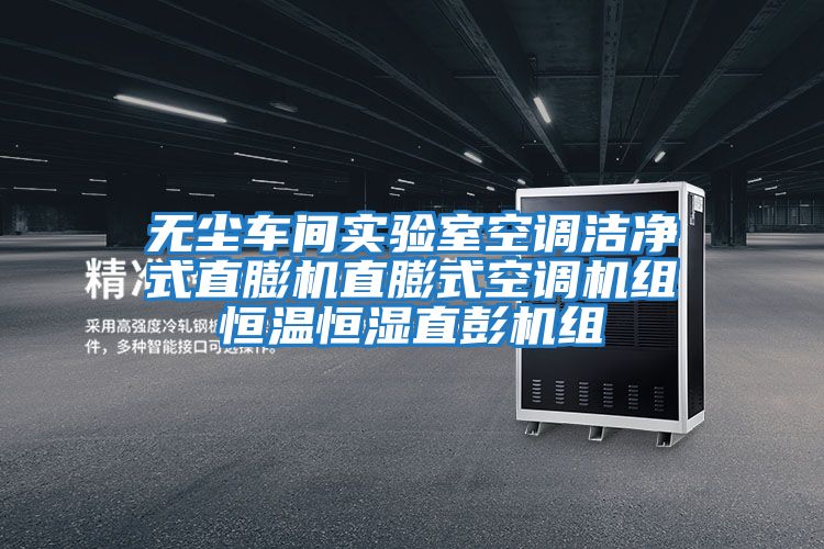 無(wú)塵車(chē)間實(shí)驗室空調潔凈式直膨機直膨式空調機組恒溫恒濕直彭機組